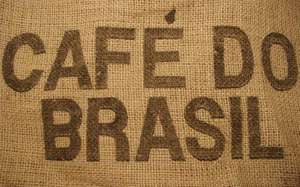 Brazil: world excellence in the production of Arabica coffee