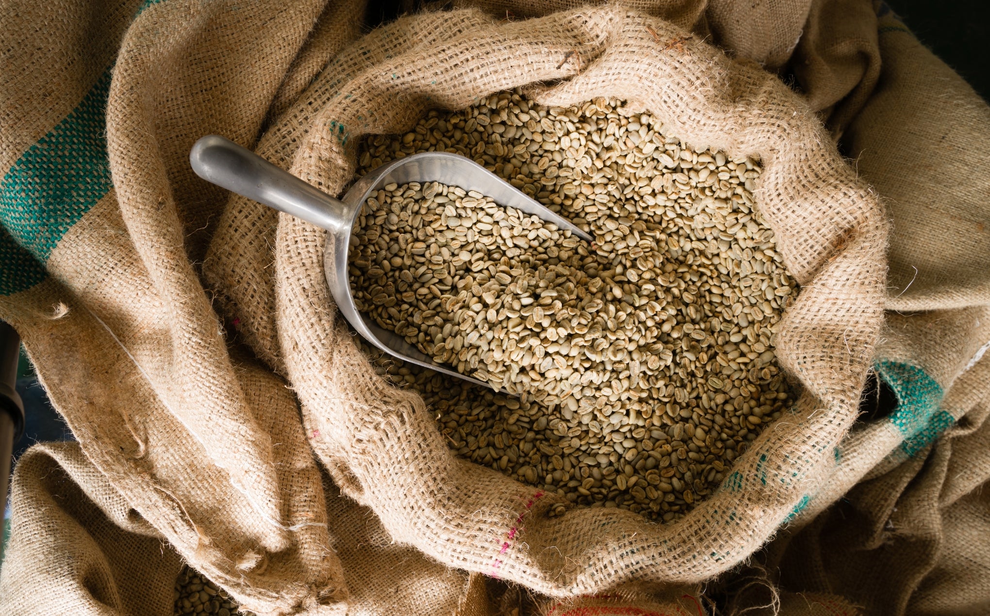 I principali paesi produttori di caffè - Cellini Caffè