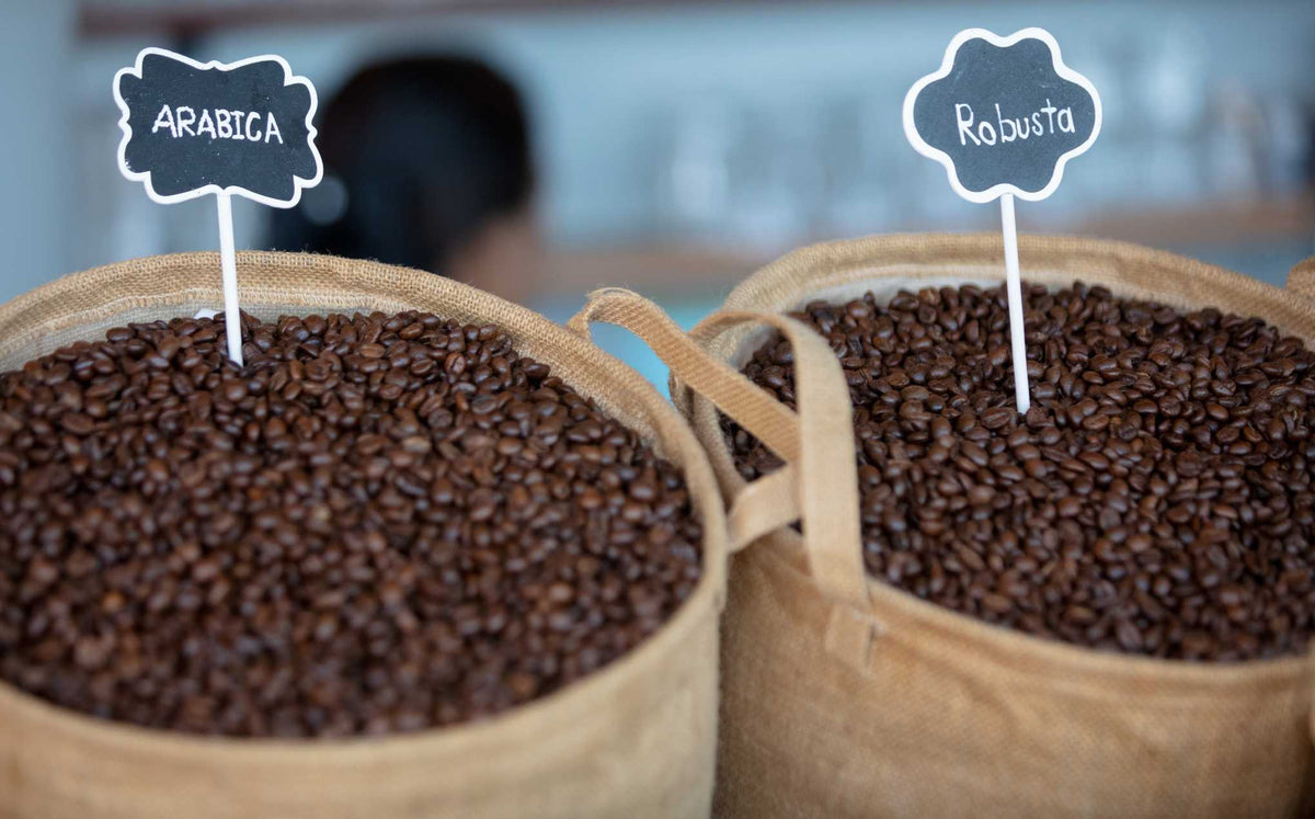 varietà specialty coffee