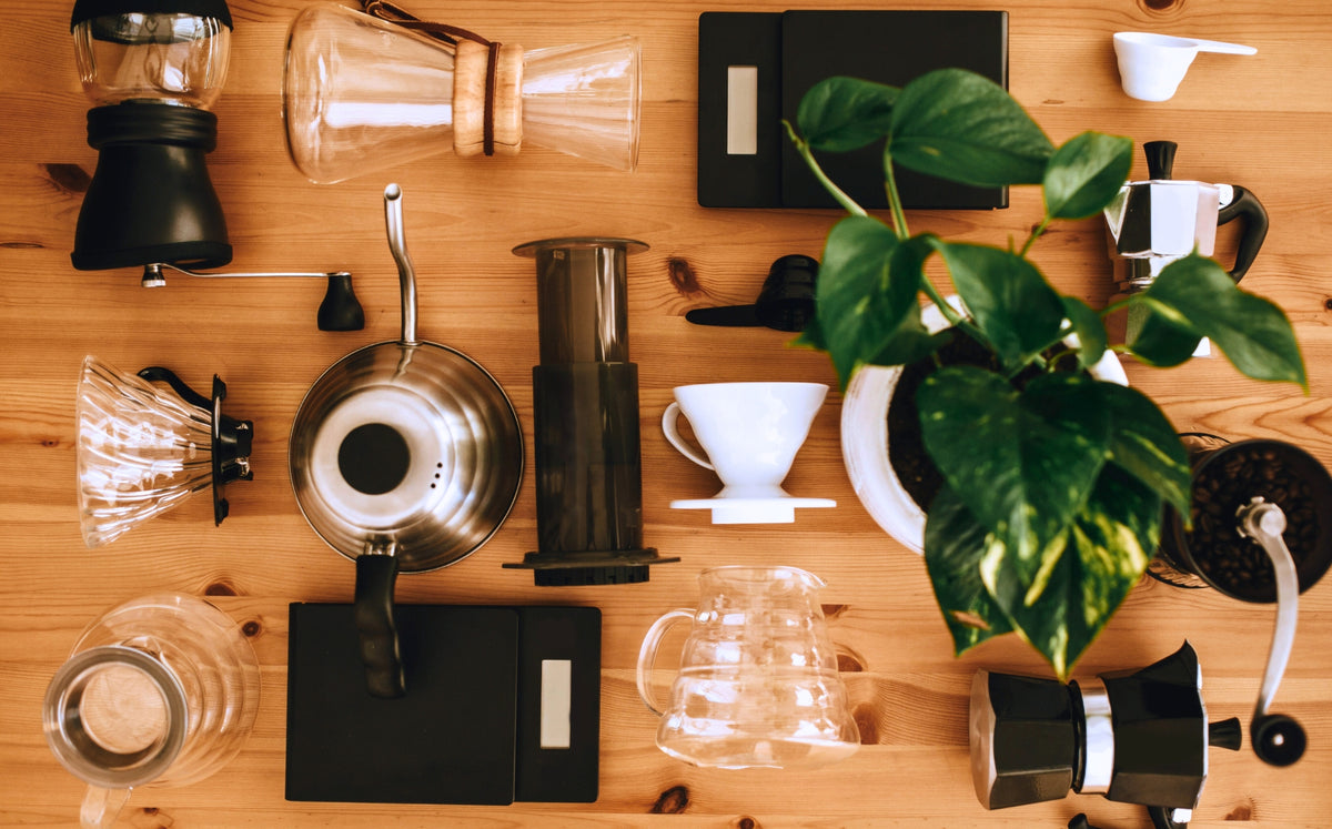 Specialty Coffee: cos’è, come si prepara e dove trovarlo - Cellini Caffè