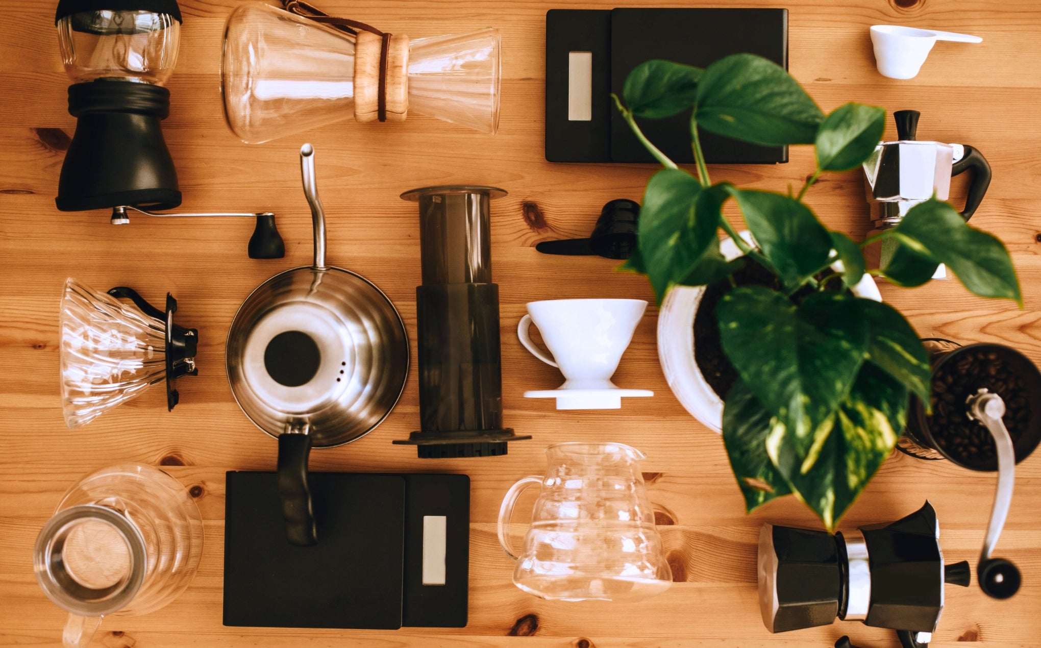 Specialty Coffee: cos’è, come si prepara e dove trovarlo - Cellini Caffè