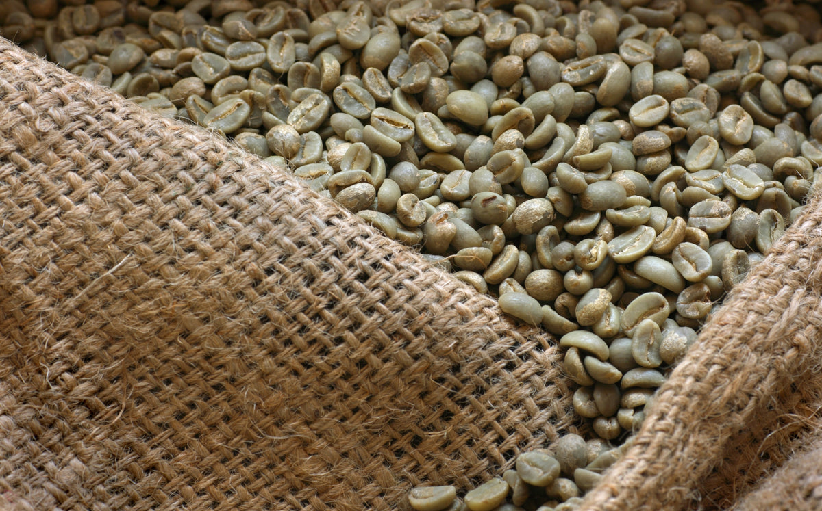 Guatemala: eccellenza e sostenibilità nella produzione di caffè - Cellini Caffè