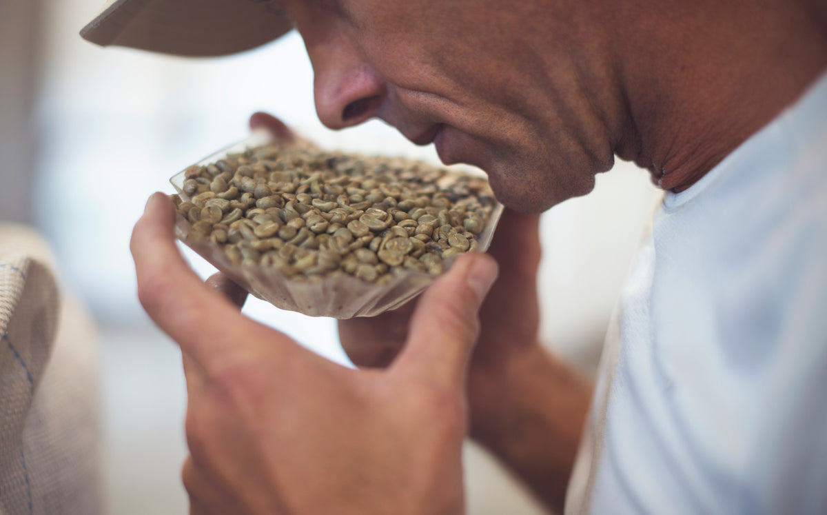 Differenza tra Miscela e Monorigine - Cellini Caffè